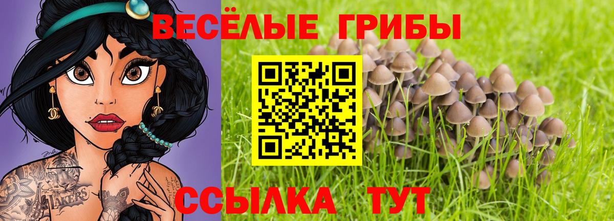 Псилоцибиновые грибы прущие грибы  Псилоцибиновые грибы ЛСД  дарнет шоп  Тутаев  Вход с VPN 