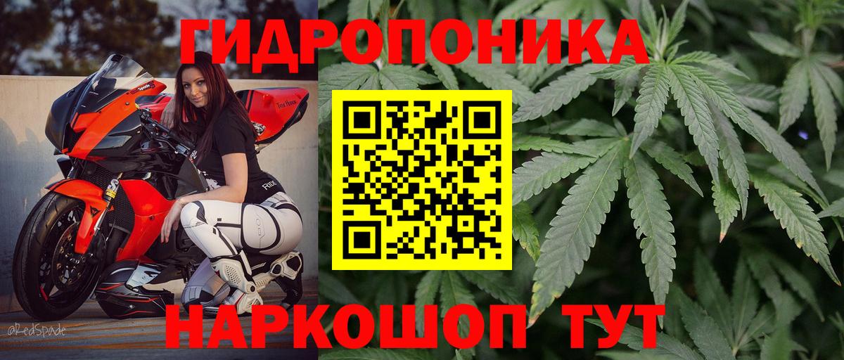 Канабис индика  Конопля OG Kush  Марихуана индика  Вход с VPN  Тутаев 